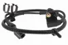 Sensor, Raddrehzahl Hinterachse rechts VEMO V41-72-0024