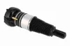 Luftfederbein Vorderachse beidseitig VEMO V45-50-0003 Bild Luftfederbein Vorderachse beidseitig VEMO V45-50-0003