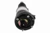Luftfederbein Vorderachse beidseitig VEMO V45-50-0003 Bild Luftfederbein Vorderachse beidseitig VEMO V45-50-0003