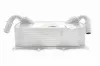 Ölkühler, Motoröl VEMO V45-60-0009 Bild Ölkühler, Motoröl VEMO V45-60-0009