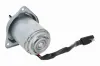 Elektromotor, Kühlerlüfter 12 V VEMO V46-01-1312 Bild Elektromotor, Kühlerlüfter 12 V VEMO V46-01-1312
