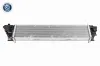 Ladeluftkühler VEMO V46-60-0077 Bild Ladeluftkühler VEMO V46-60-0077