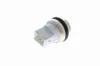 Sensor, Kühlmitteltemperatur VEMO V46-72-0031