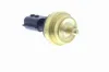 Sensor, Kühlmitteltemperatur VEMO V46-72-0066 Bild Sensor, Kühlmitteltemperatur VEMO V46-72-0066