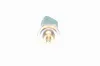 Sensor, Kühlmitteltemperatur VEMO V46-72-0086 Bild Sensor, Kühlmitteltemperatur VEMO V46-72-0086