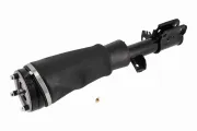 Luftfederbein vorne links VEMO V48-50-0019