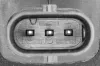 Zündspule 12 V VEMO V48-70-0002 Bild Zündspule 12 V VEMO V48-70-0002