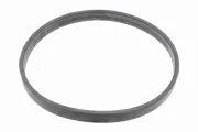 Dichtung, Drosselklappenstutzen VEMO V48-81-0010