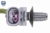 Thermostatgehäuse VEMO V48-99-0006 Bild Thermostatgehäuse VEMO V48-99-0006