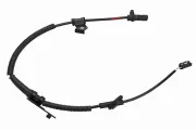 Sensor, Raddrehzahl Hinterachse VEMO V52-72-0173
