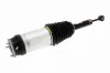 Luftfederbein Hinterachse VEMO V58-50-0006 Bild Luftfederbein Hinterachse VEMO V58-50-0006