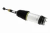 Luftfederbein Hinterachse VEMO V58-50-0006 Bild Luftfederbein Hinterachse VEMO V58-50-0006