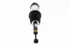 Luftfederbein Hinterachse VEMO V58-50-0006 Bild Luftfederbein Hinterachse VEMO V58-50-0006