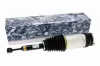 Luftfederbein Hinterachse VEMO V58-50-0006 Bild Luftfederbein Hinterachse VEMO V58-50-0006