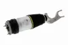 Luftfederbein vorne VEMO V58-50-0007 Bild Luftfederbein vorne VEMO V58-50-0007