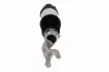 Luftfederbein vorne VEMO V58-50-0007 Bild Luftfederbein vorne VEMO V58-50-0007