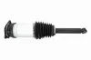 Luftfederbein VEMO V58-50-0010 Bild Luftfederbein VEMO V58-50-0010