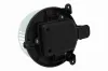 Innenraumgebläse 12 V VEMO V70-03-0008 Bild Innenraumgebläse 12 V VEMO V70-03-0008