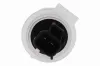 Sensor, Waschwasserstand VEMO V70-72-0452 Bild Sensor, Waschwasserstand VEMO V70-72-0452