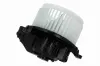 Innenraumgebläse 12 V VEMO V95-03-0001 Bild Innenraumgebläse 12 V VEMO V95-03-0001