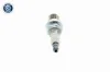 Zündkerze VEMO V99-75-0026 Bild Zündkerze VEMO V99-75-0026