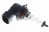 Glühlampe, Fernscheinwerfer 12 V 55 W HB4 VEMO V99-84-0071 Bild Glühlampe, Fernscheinwerfer 12 V 55 W HB4 VEMO V99-84-0071