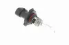 Glühlampe, Fernscheinwerfer 12 V 65 W HB3A VEMO V99-84-0072 Bild Glühlampe, Fernscheinwerfer 12 V 65 W HB3A VEMO V99-84-0072