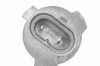 Glühlampe, Hauptscheinwerfer 12 V 55 W HB4A VEMO V99-84-0073 Bild Glühlampe, Hauptscheinwerfer 12 V 55 W HB4A VEMO V99-84-0073