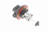 Glühlampe, Hauptscheinwerfer 12 V 55 W HB4A VEMO V99-84-0073 Bild Glühlampe, Hauptscheinwerfer 12 V 55 W HB4A VEMO V99-84-0073