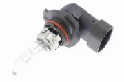 Glühlampe, Fernscheinwerfer 12 V 65 W Sockelglühlampe VEMO V99-84-0081