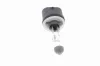 Glühlampe, Hauptscheinwerfer 12 V 27 W H27W/1 VEMO V99-84-0086 Bild Glühlampe, Hauptscheinwerfer 12 V 27 W H27W/1 VEMO V99-84-0086