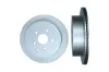 Bremsscheibe Hinterachse KAMOKA 103465