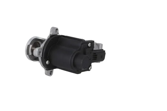 AGR-Ventil KAMOKA 19091 Bild AGR-Ventil KAMOKA 19091