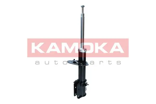 Stoßdämpfer Hinterachse KAMOKA 2000039