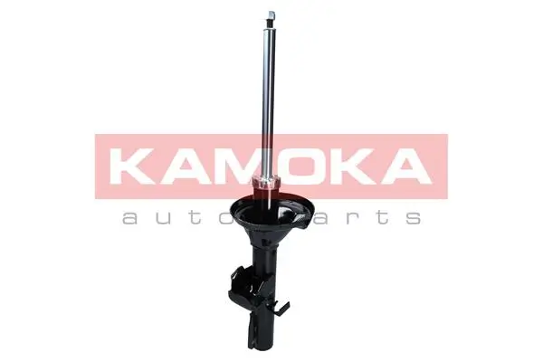 Stoßdämpfer Hinterachse KAMOKA 2000366