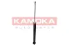 Stoßdämpfer Hinterachse KAMOKA 2000757 Bild Stoßdämpfer Hinterachse KAMOKA 2000757