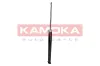 Stoßdämpfer Hinterachse KAMOKA 2000761 Bild Stoßdämpfer Hinterachse KAMOKA 2000761