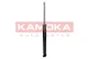 Stoßdämpfer Hinterachse KAMOKA 2000894 Bild Stoßdämpfer Hinterachse KAMOKA 2000894