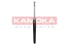 Stoßdämpfer Hinterachse KAMOKA 2000945 Bild Stoßdämpfer Hinterachse KAMOKA 2000945