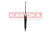 Stoßdämpfer Hinterachse KAMOKA 2000946 Bild Stoßdämpfer Hinterachse KAMOKA 2000946