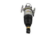 Luftfederbein hinten links KAMOKA 2070031