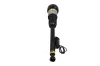 Luftfederbein hinten links KAMOKA 2070053