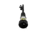 Luftfederbein hinten links KAMOKA 2070053 Bild Luftfederbein hinten links KAMOKA 2070053
