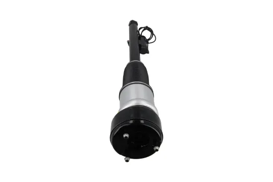 Luftfederbein hinten links KAMOKA 2070053 Bild Luftfederbein hinten links KAMOKA 2070053