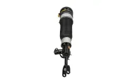 Luftfederbein vorne links KAMOKA 2070075