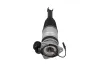Luftfederbein hinten links KAMOKA 2070077 Bild Luftfederbein hinten links KAMOKA 2070077