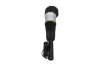 Luftfederbein Vorderachse KAMOKA 2070091 Bild Luftfederbein Vorderachse KAMOKA 2070091
