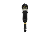 Luftfederbein hinten KAMOKA 2070096