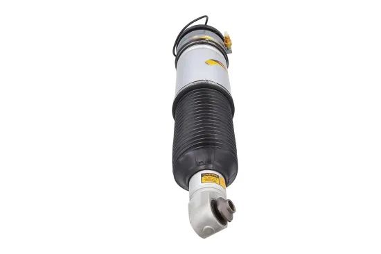 Luftfederbein hinten links KAMOKA 2070098 Bild Luftfederbein hinten links KAMOKA 2070098