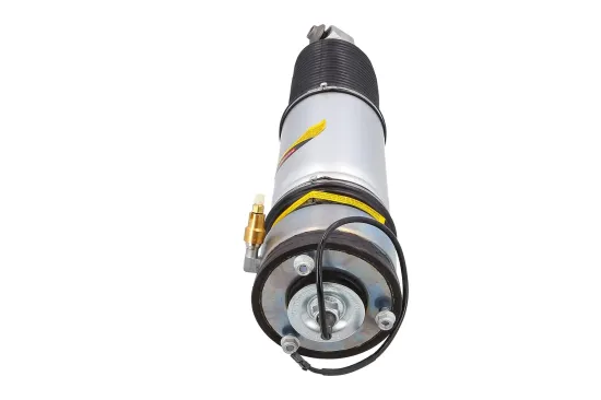 Luftfederbein hinten links KAMOKA 2070098 Bild Luftfederbein hinten links KAMOKA 2070098